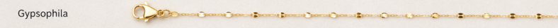 Gypsophila Little gold line
